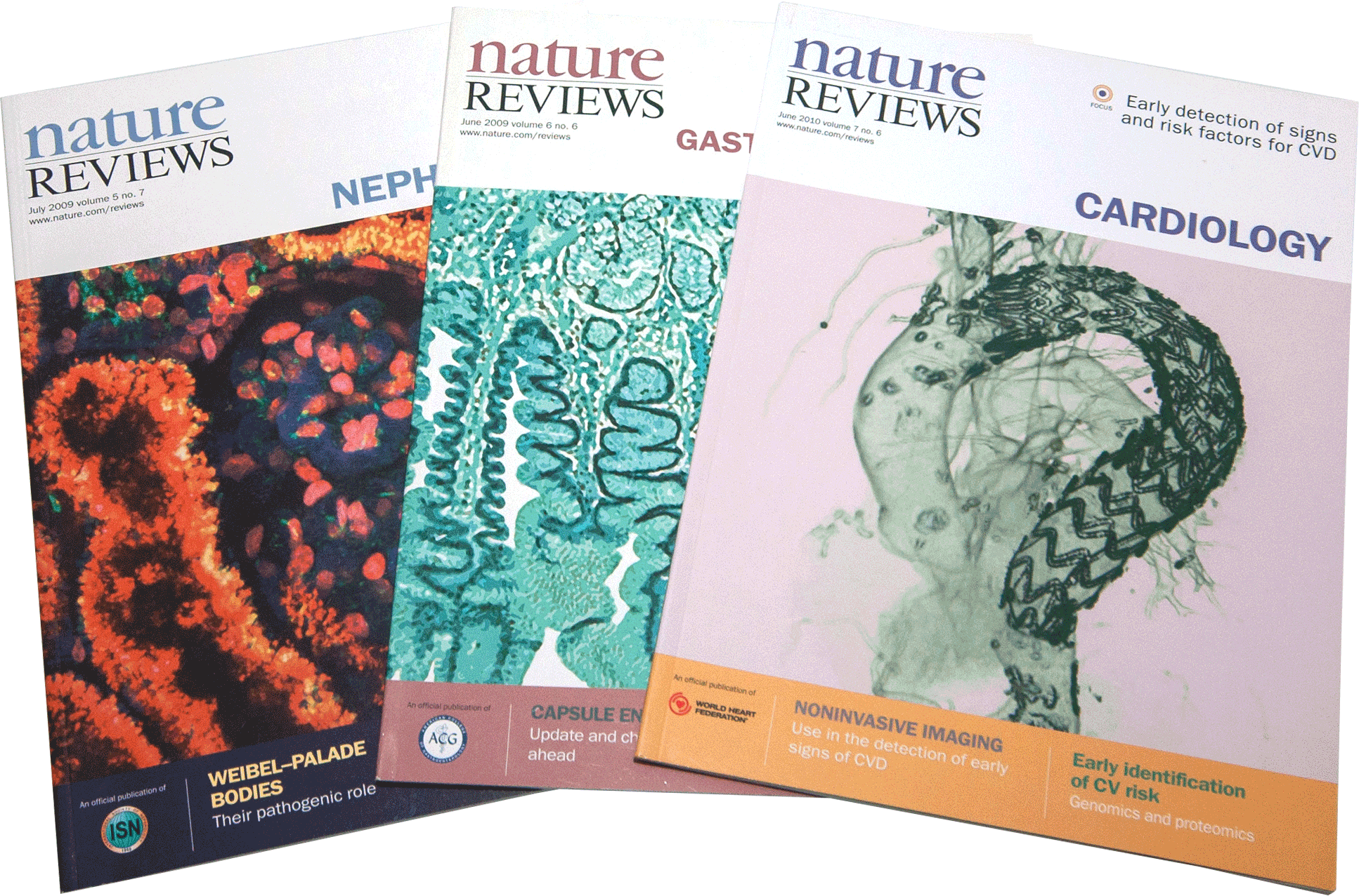 Nature Reviews Clinical Practice Simon Hastelow